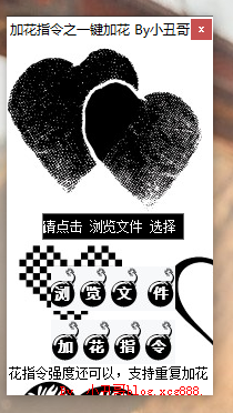 [精品软件]exe程序加花指令软件